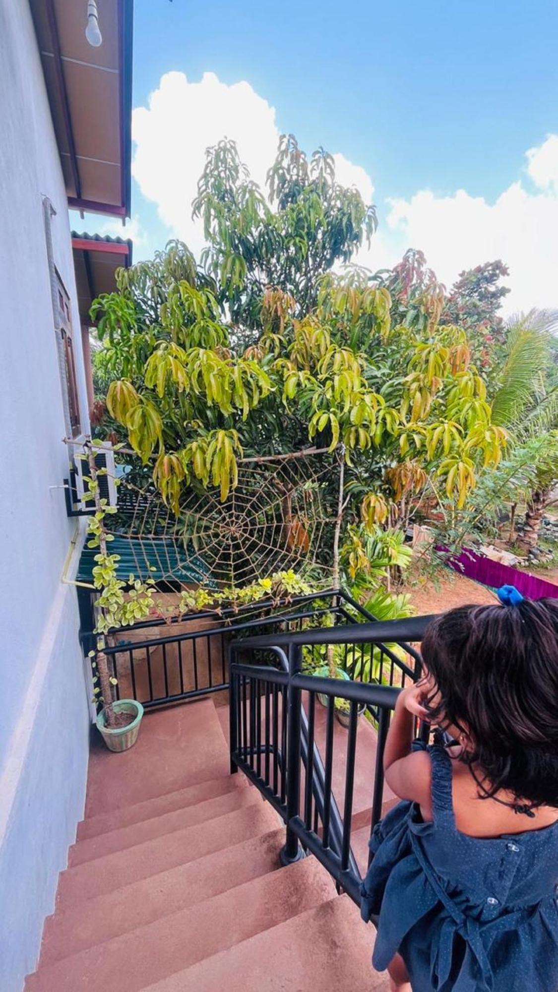 Dew Ashi Homestay Sigiriya Dış mekan fotoğraf