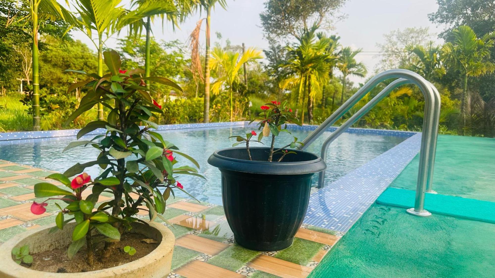 Dew Ashi Homestay Sigiriya Dış mekan fotoğraf