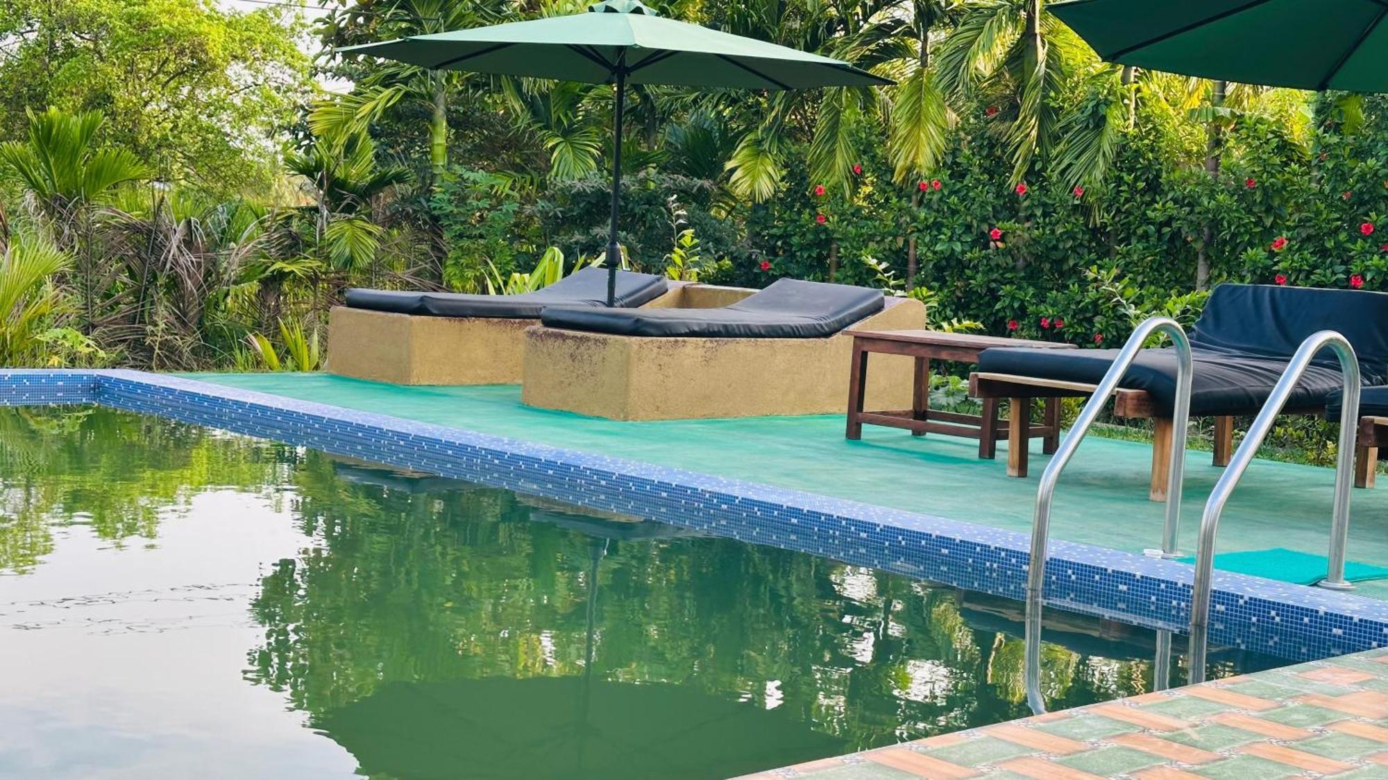 Dew Ashi Homestay Sigiriya Dış mekan fotoğraf